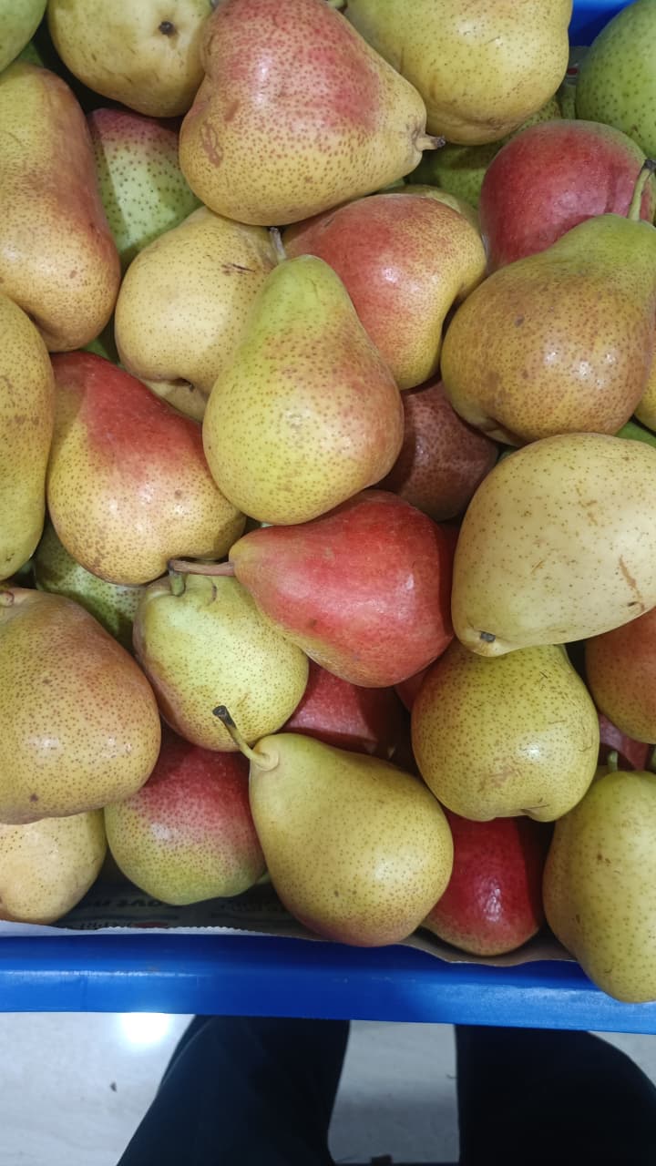 South African Pears